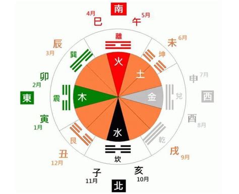 八字 天干